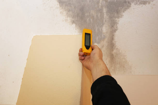 Mahtomedi, MN Mold Removal Company