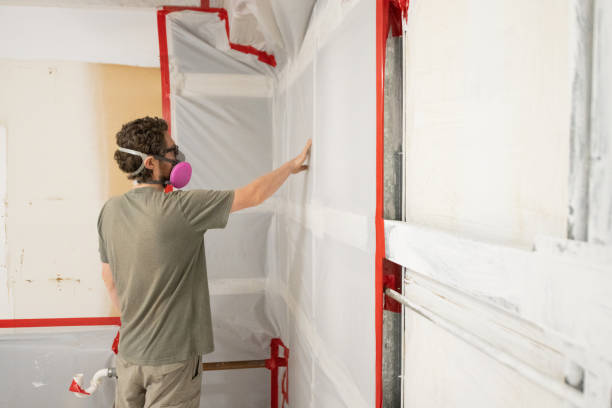 Best Attic Mold Removal  in Mahtomedi, MN