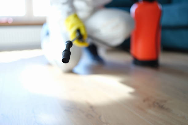 Best Residential Mold Inspection & Testing  in Mahtomedi, MN