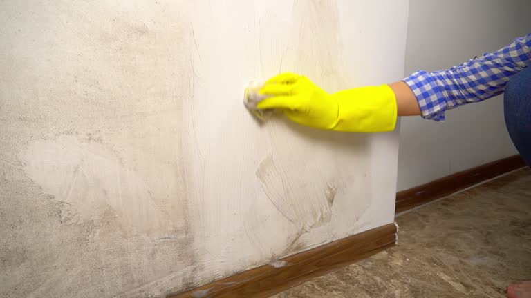 Best Flood Damage  in Mahtomedi, MN