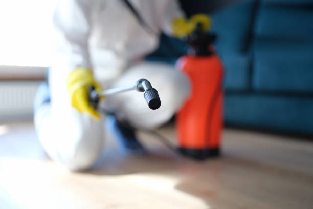 Best HVAC Mold Inspection and Cleaning  in Mahtomedi, MN