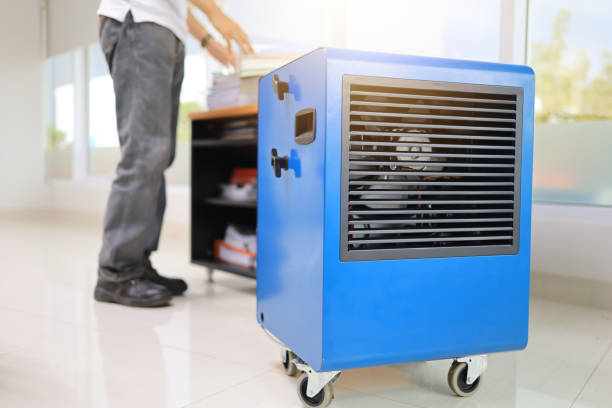 Mold Remediation for Rental Properties in Mahtomedi, MN