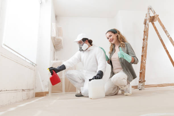 Best Mold Removal for HVAC Installations  in Mahtomedi, MN