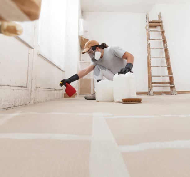Best Mold Documentation for Insurance Claims  in Mahtomedi, MN
